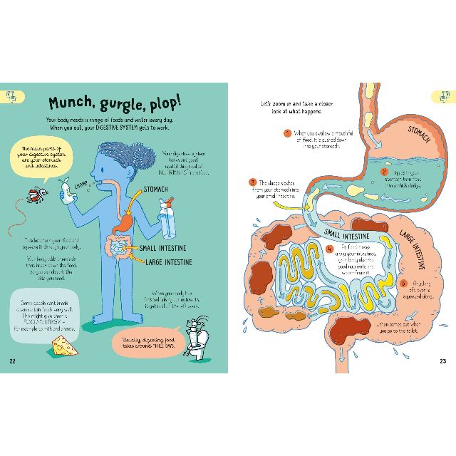 All You Need to Know about Your Body by Age 7 - Image 3