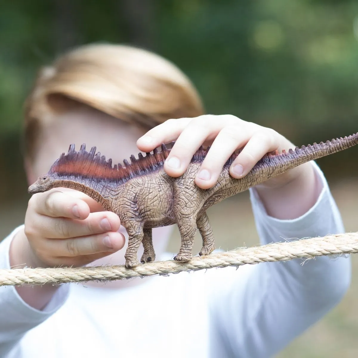 Amargasaurus - Image 2
