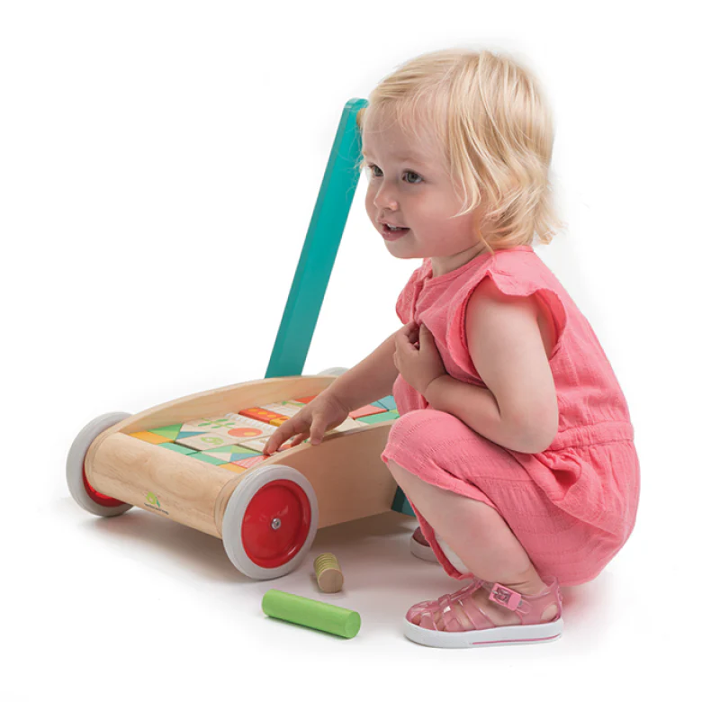 Garden Baby Block Walker - Image 4