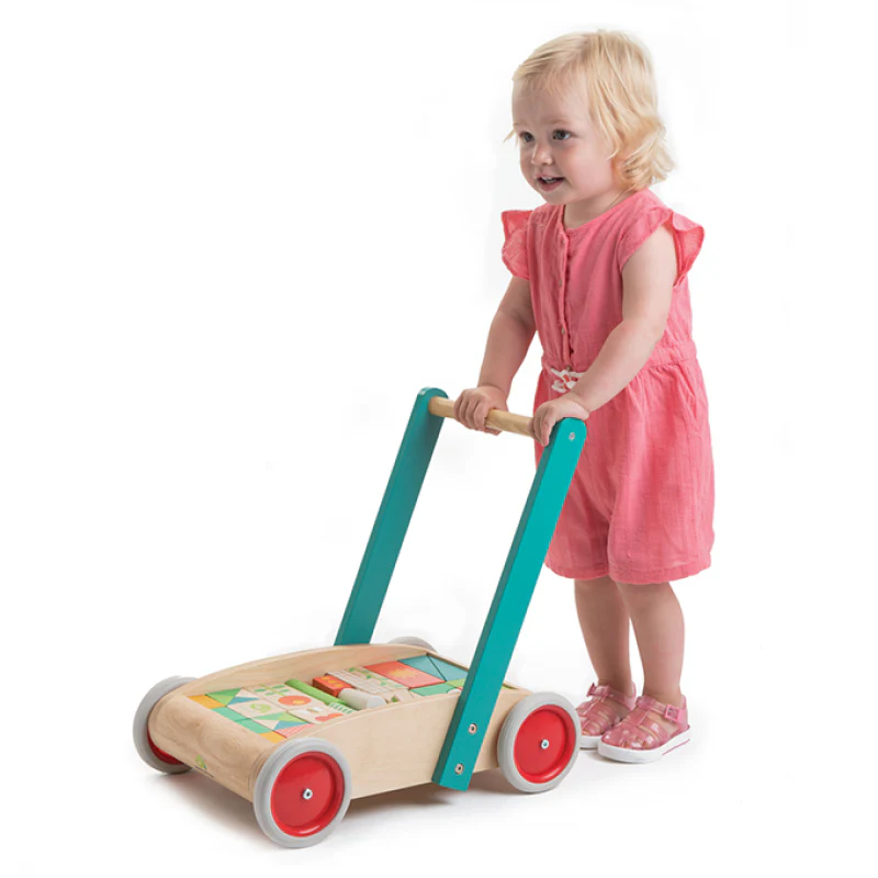 Garden Baby Block Walker - Image 5