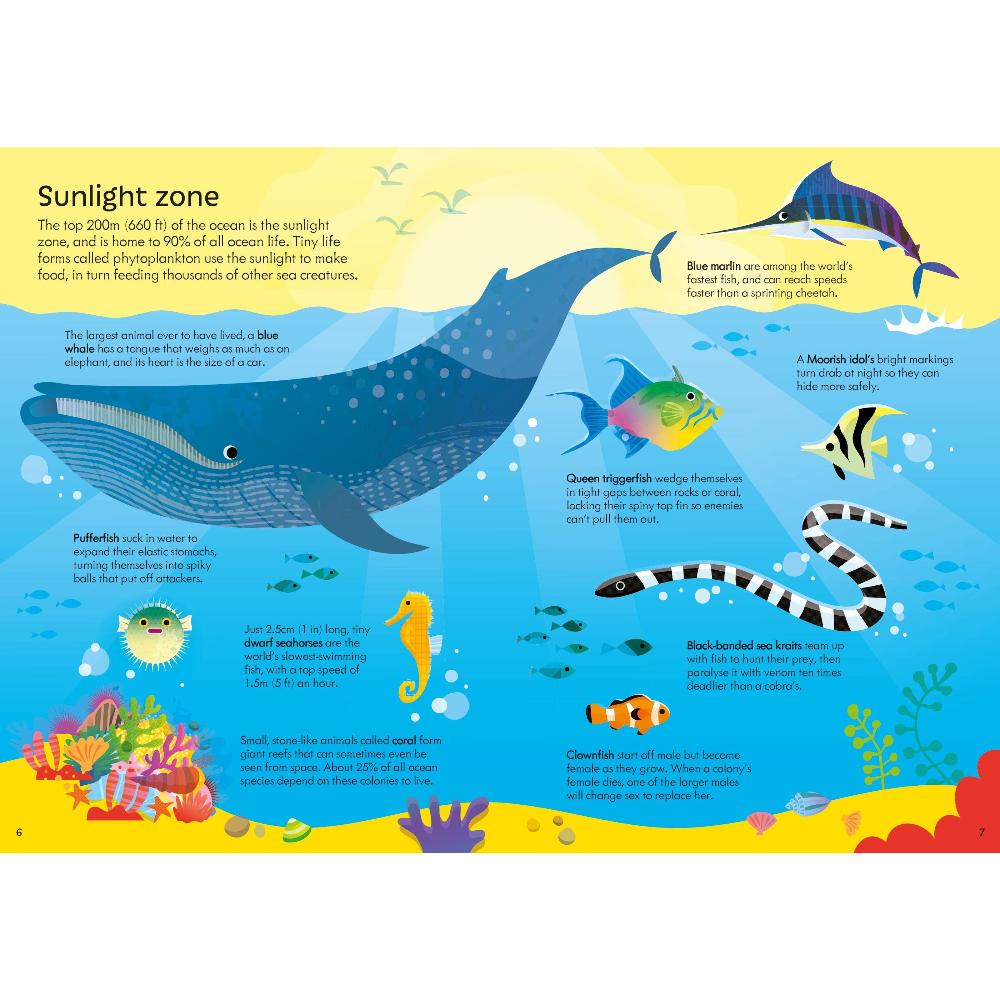 Book and 300 piece - Oceans Jigsaw Puzzle - Image 3