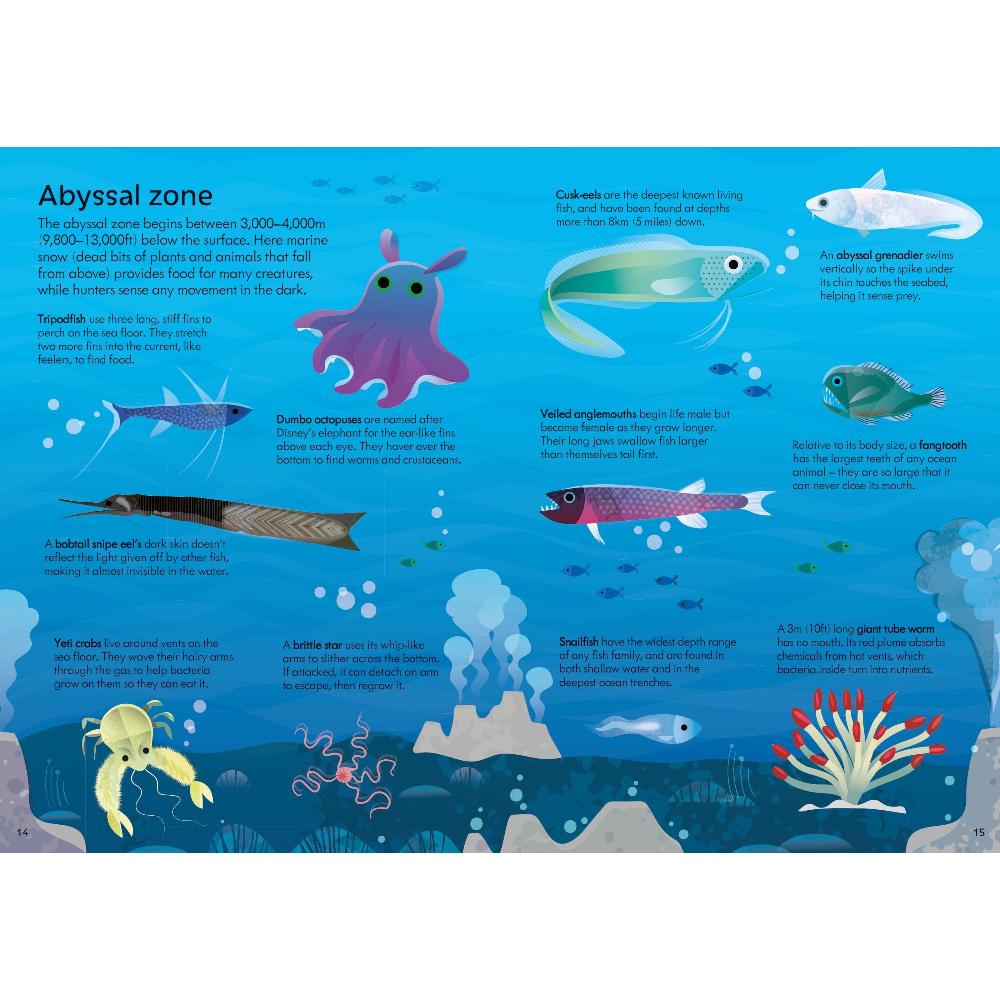 Book and 300 piece - Oceans Jigsaw Puzzle - Image 4