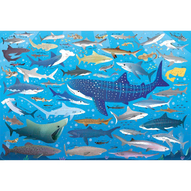 Book and Jigsaw - Sharks - Image 2