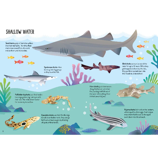 Book and Jigsaw - Sharks - Image 5