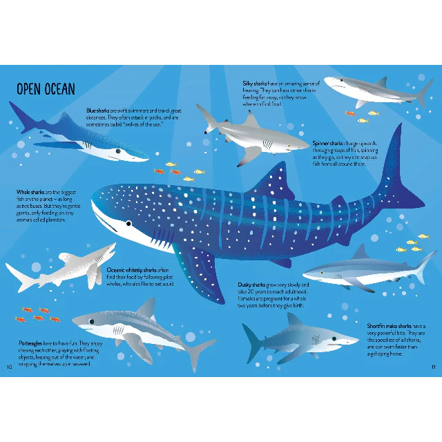Book and Jigsaw - Sharks - Image 6