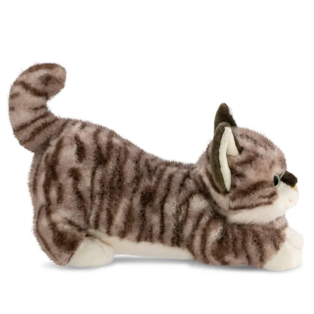 Borealis - Esme Tabby Cat - Image 3