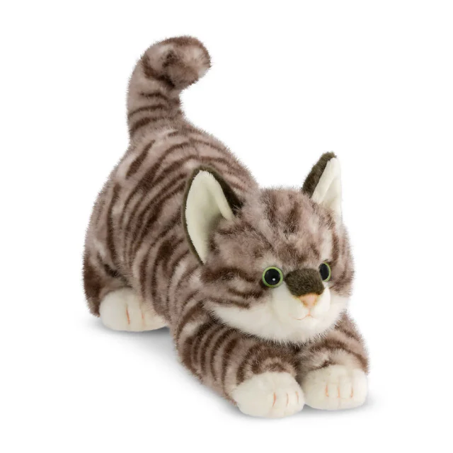 Borealis - Esme Tabby Cat - Image 4