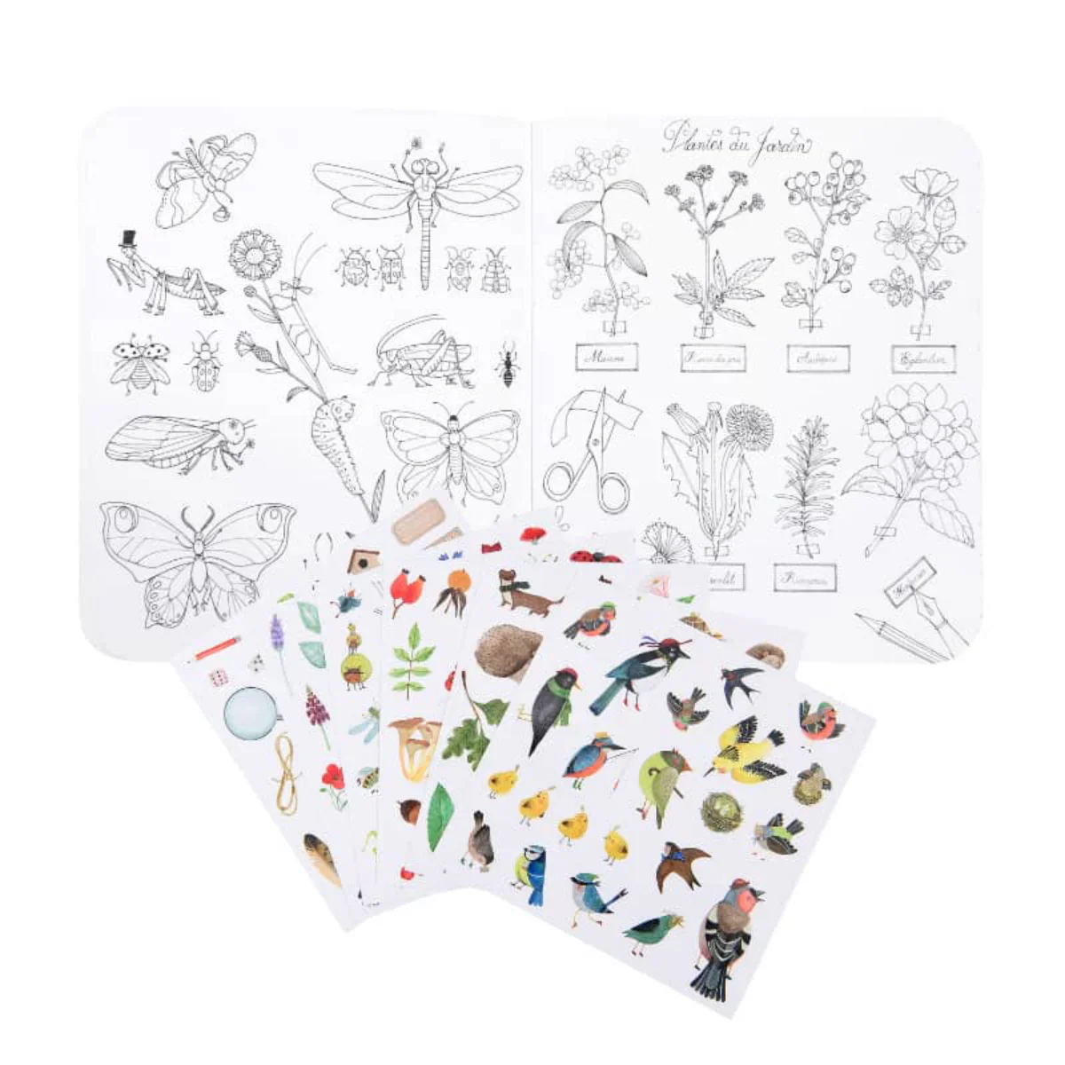 Botanist Coloring Sticker Book - Image 2