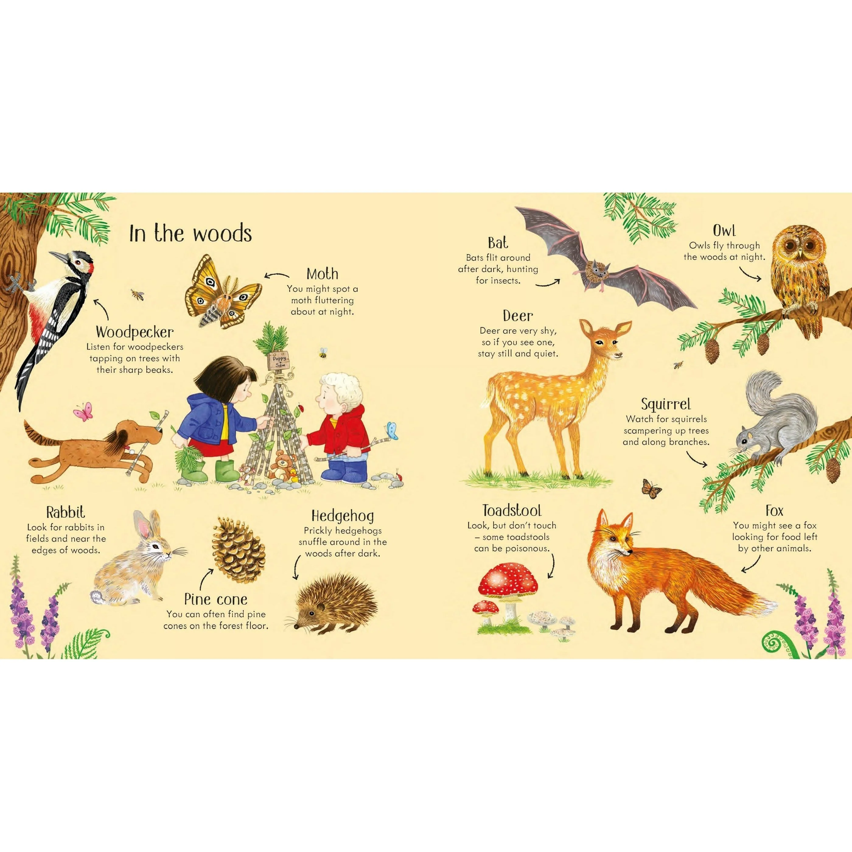 Poppy and Sam's Nature Spotting Book - Image 2