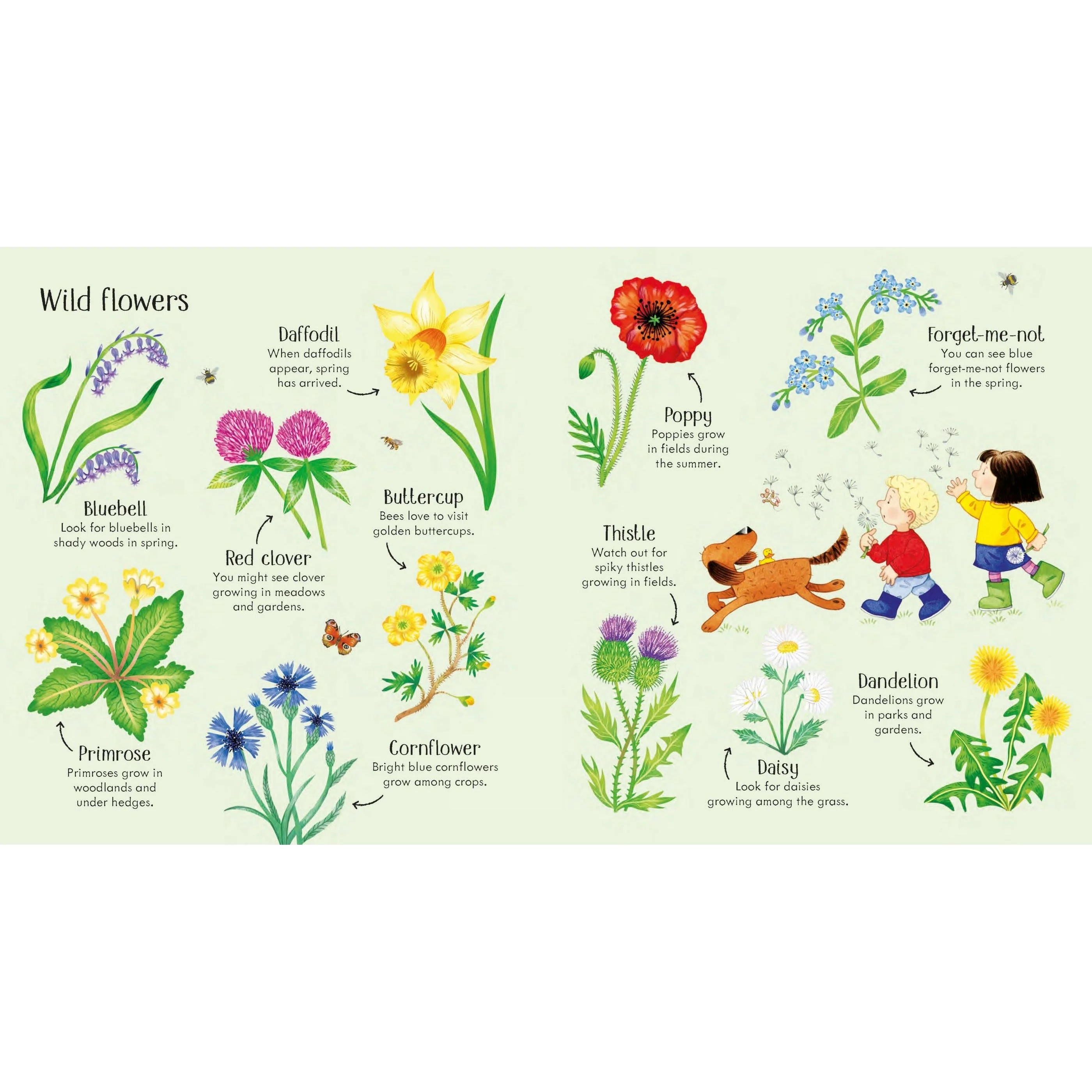Poppy and Sam's Nature Spotting Book - Image 3
