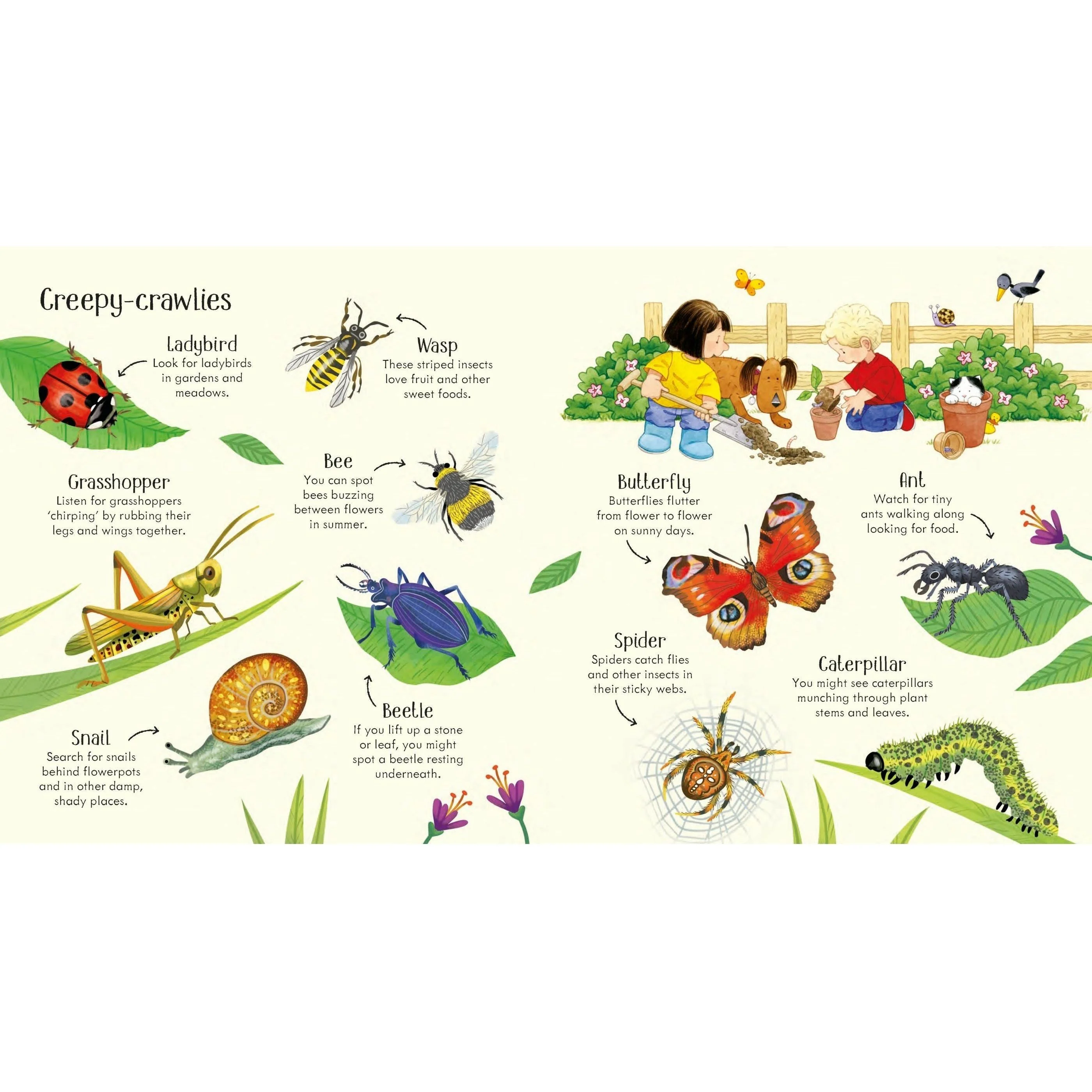 Poppy and Sam's Nature Spotting Book - Image 4