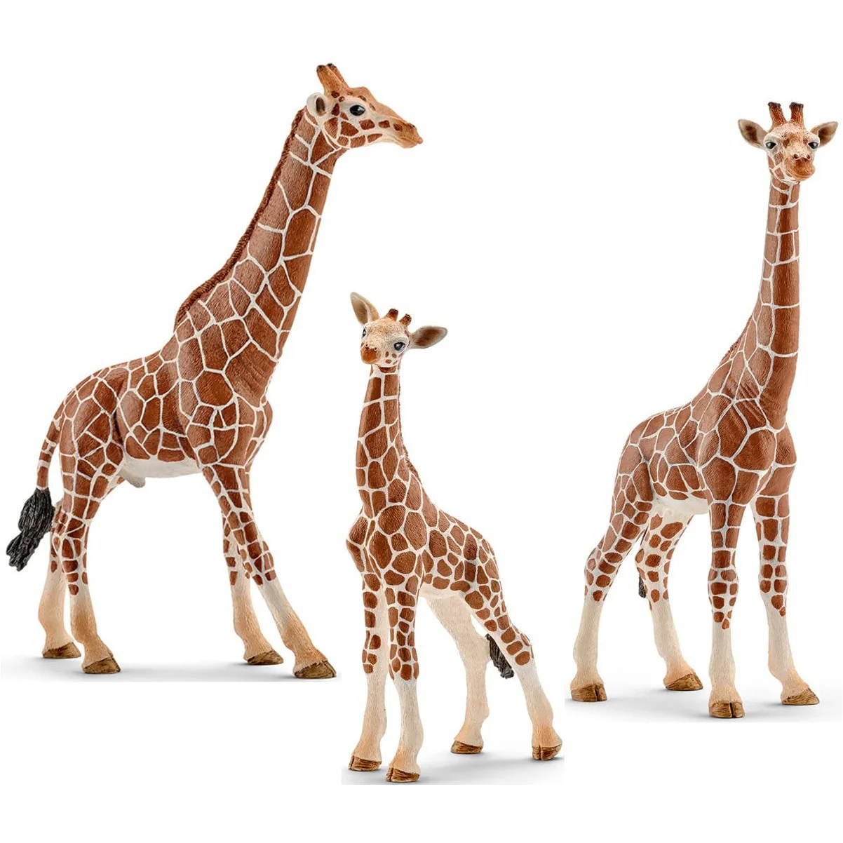 Giraffe Bull - Image 2