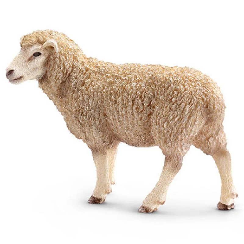 Schleich - Sheep