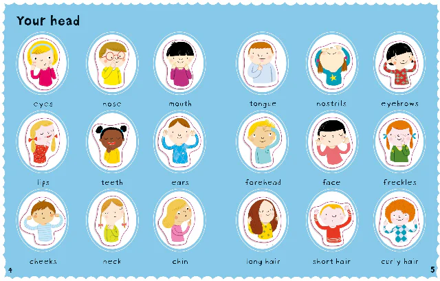 First Sticker Book - Your Body - Image 3