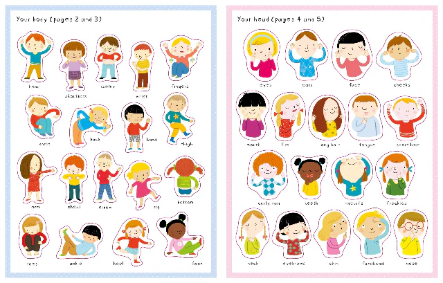 First Sticker Book - Your Body - Image 4