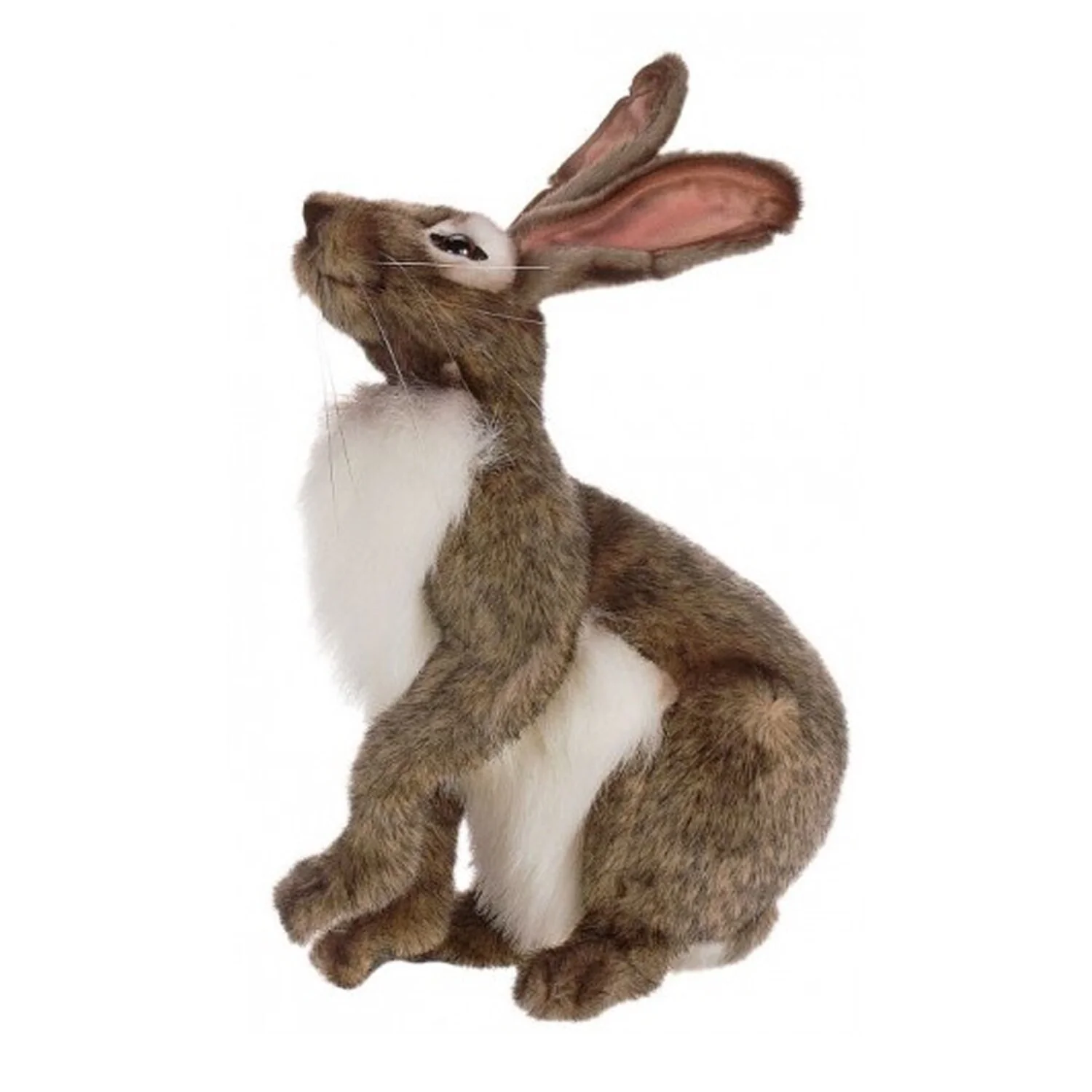 Hansa Hare - Image 2