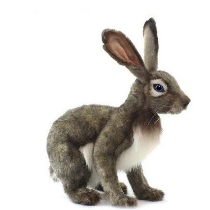 Hansa Hare - Image 3