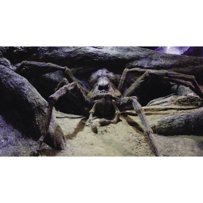 Harry Potter - Aragog - Image 2
