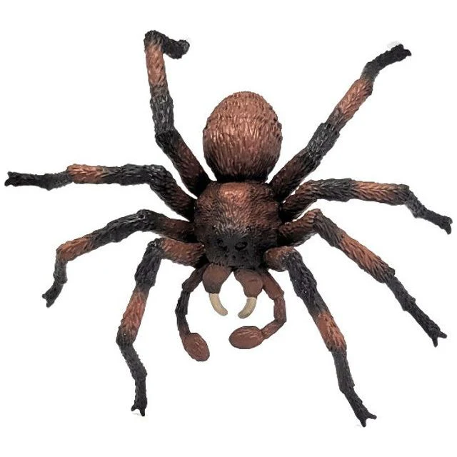 Harry Potter - Aragog - Image 3
