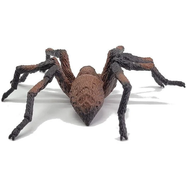 Harry Potter - Aragog - Image 4
