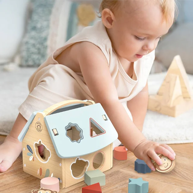 House Shape Sorter - Image 2