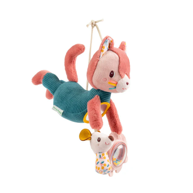 Jeanne Cat Activity Toy