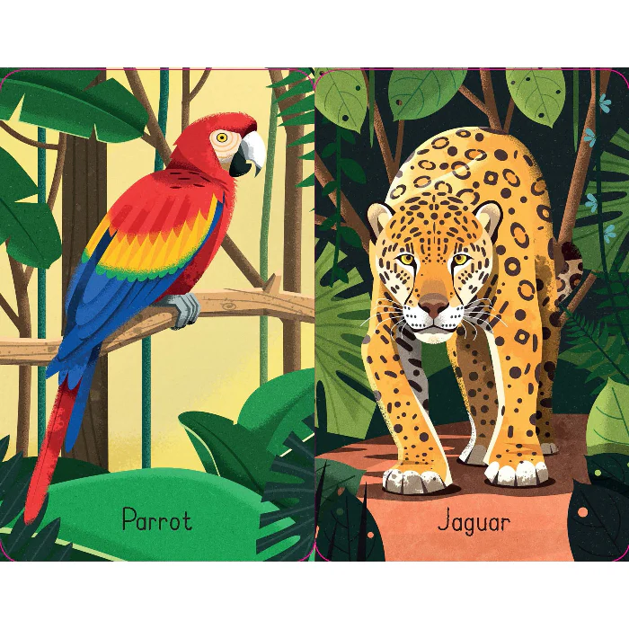 Jungle Snap Cards - Image 4