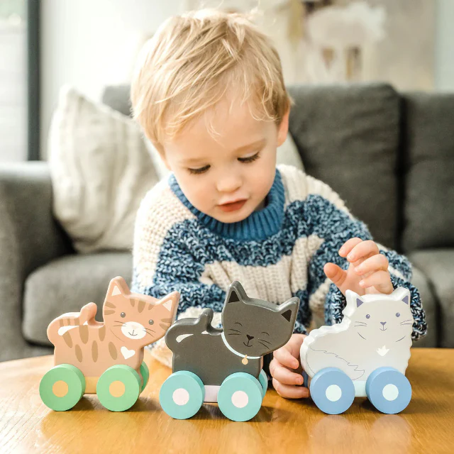 Wooden Kitty Push Toys - Image 2