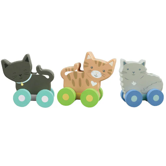Wooden Kitty Push Toys - Image 3
