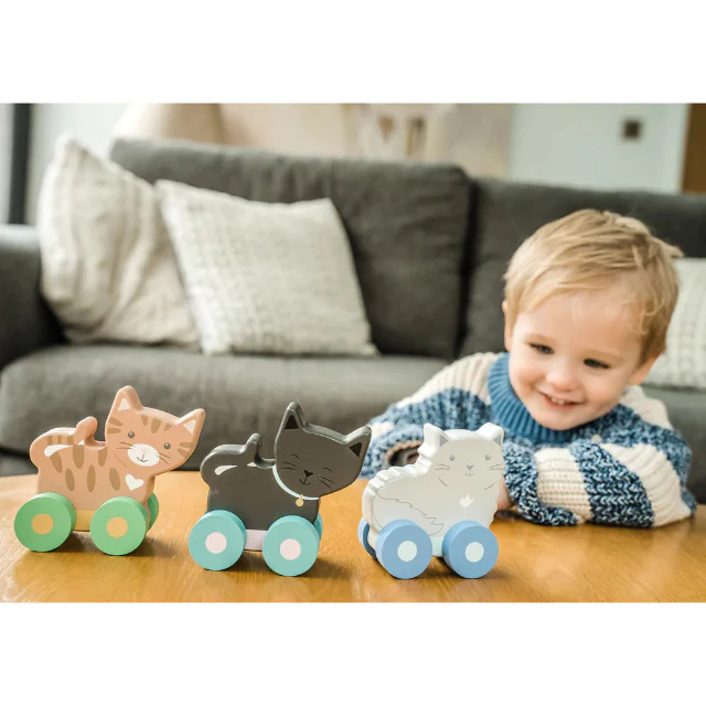 Wooden Kitty Push Toys - Image 4