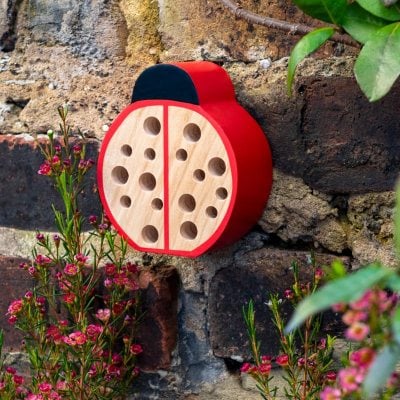 Ladybird Bug Hotel - Image 3