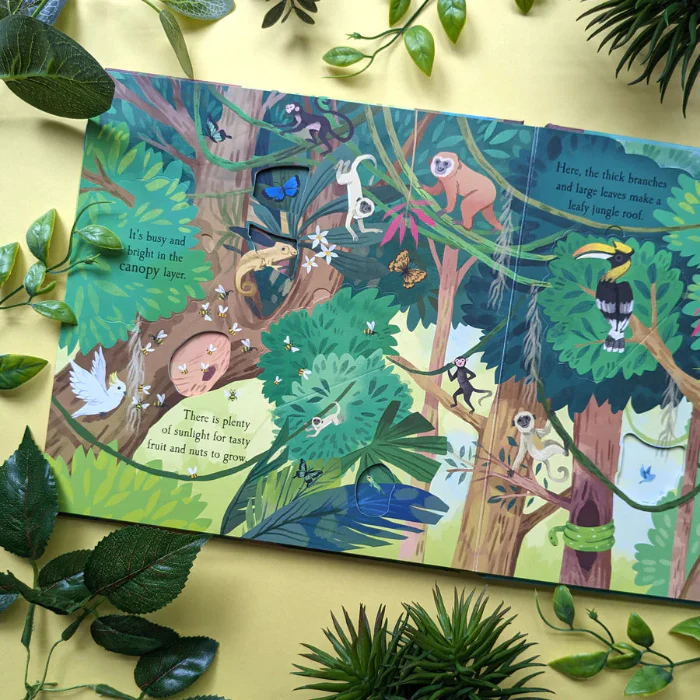 Let's Explore The Rainforest - Image 2
