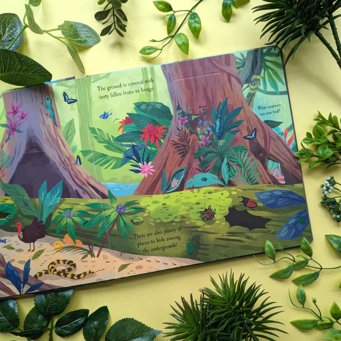 Let's Explore The Rainforest - Image 3