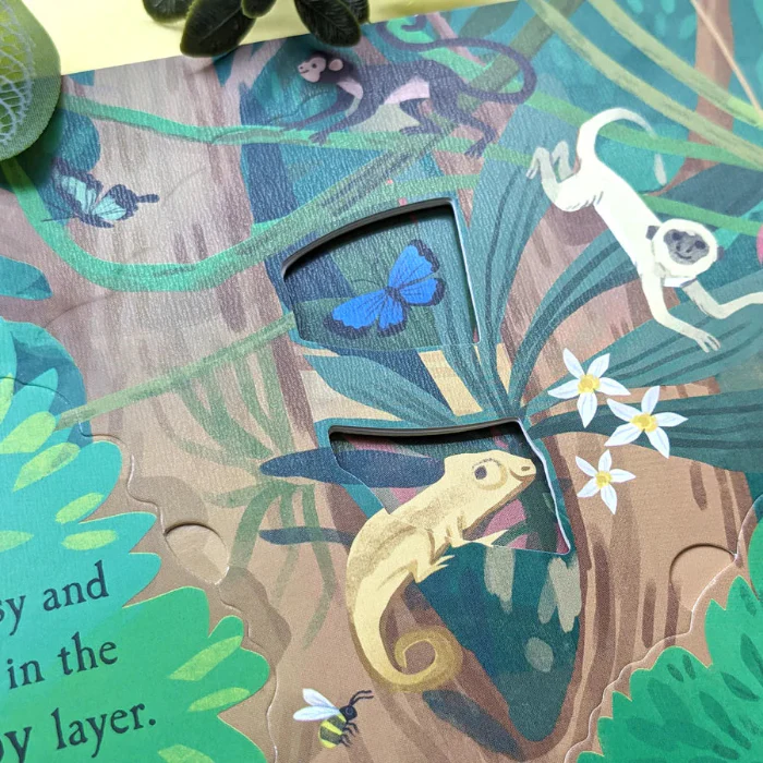 Let's Explore The Rainforest - Image 4