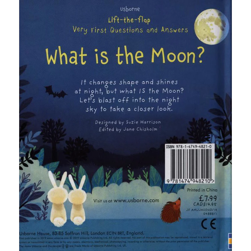 Lift the Flap What is the Moon? - Image 4