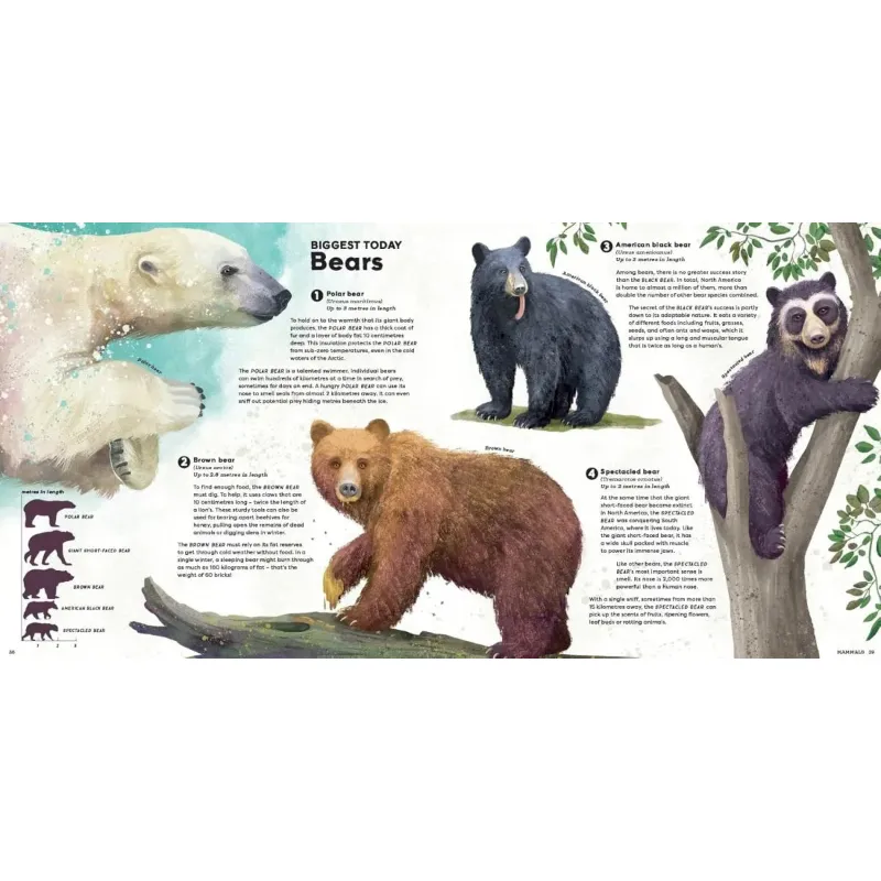 MEGA - The Most Enormous Animals Ever! - Image 4