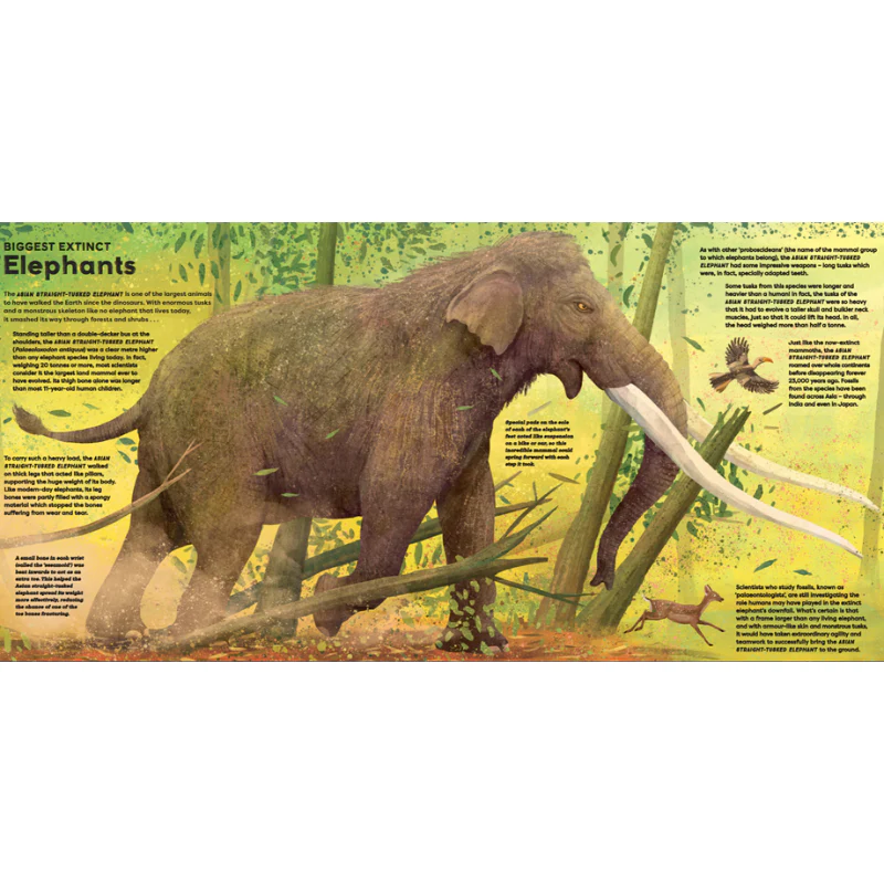 MEGA - The Most Enormous Animals Ever! - Image 5