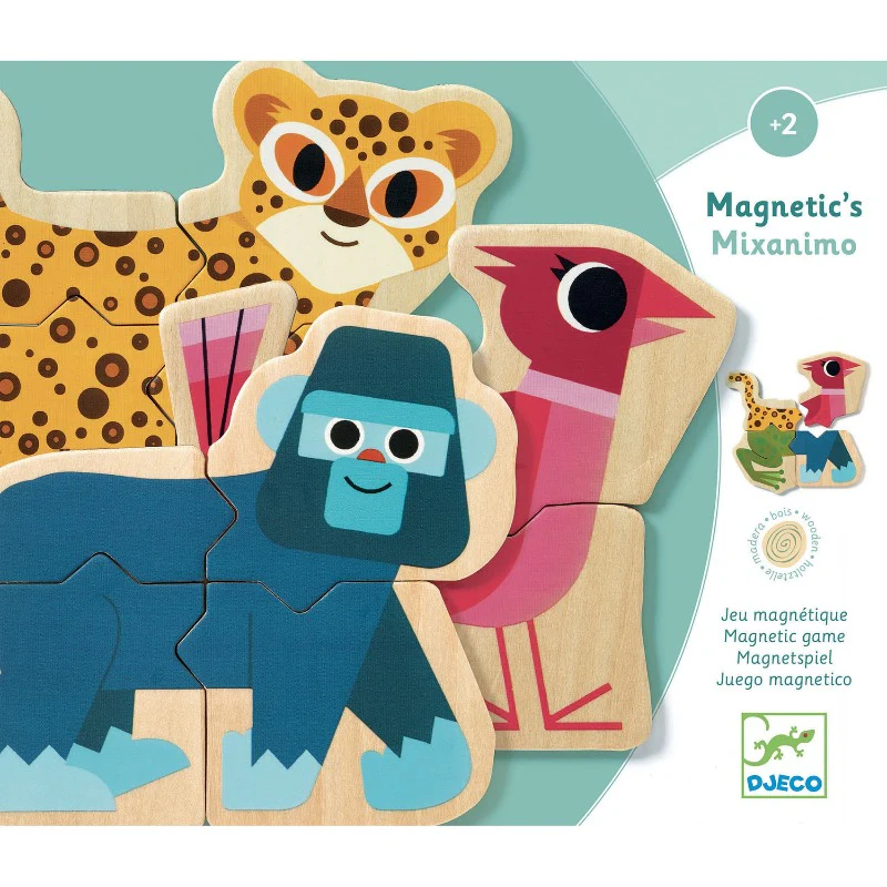 Mixanimo Magnetic Game