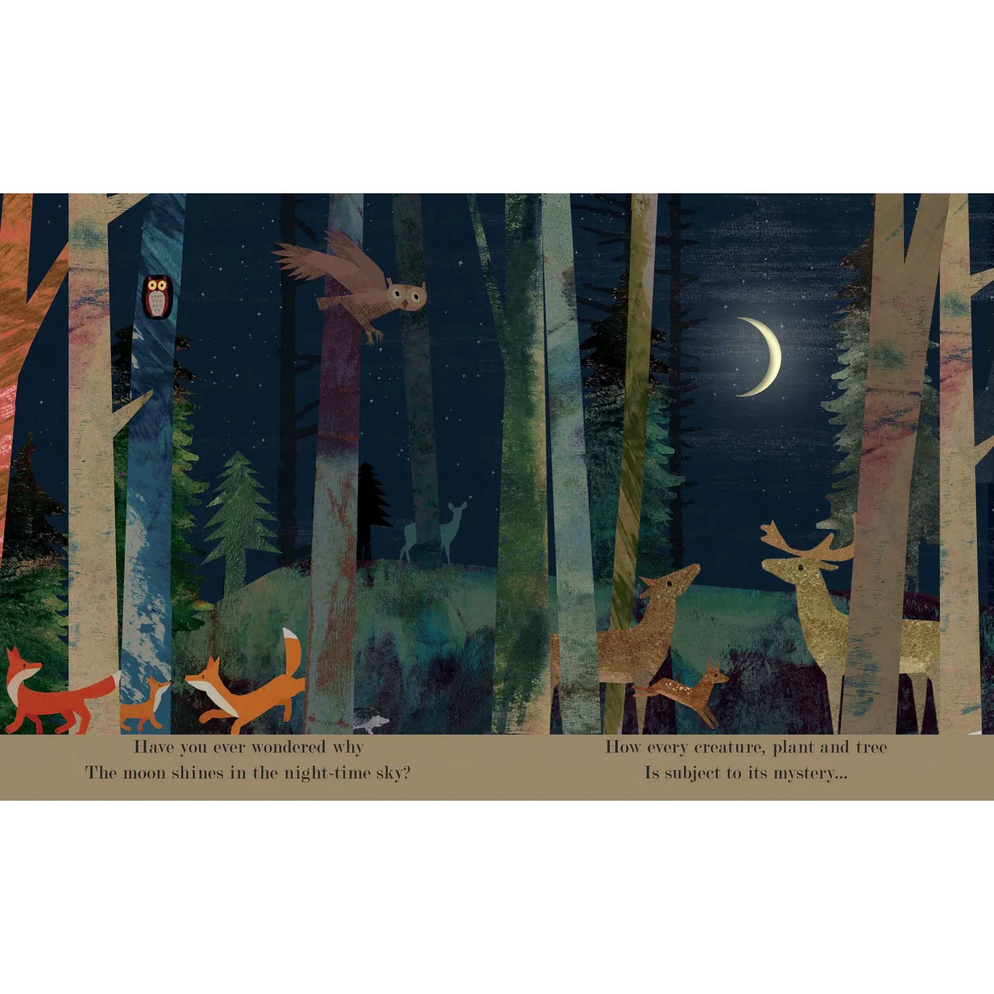 Moon - Patricia Hegarty - Britta Teckentrup - Image 2