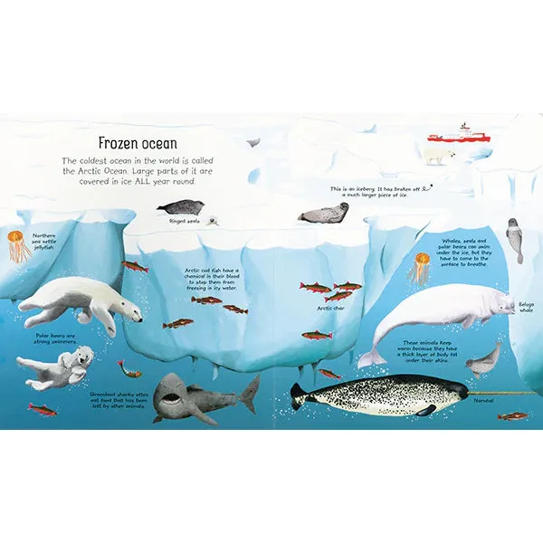 My First Seas & Oceans Book - Image 3