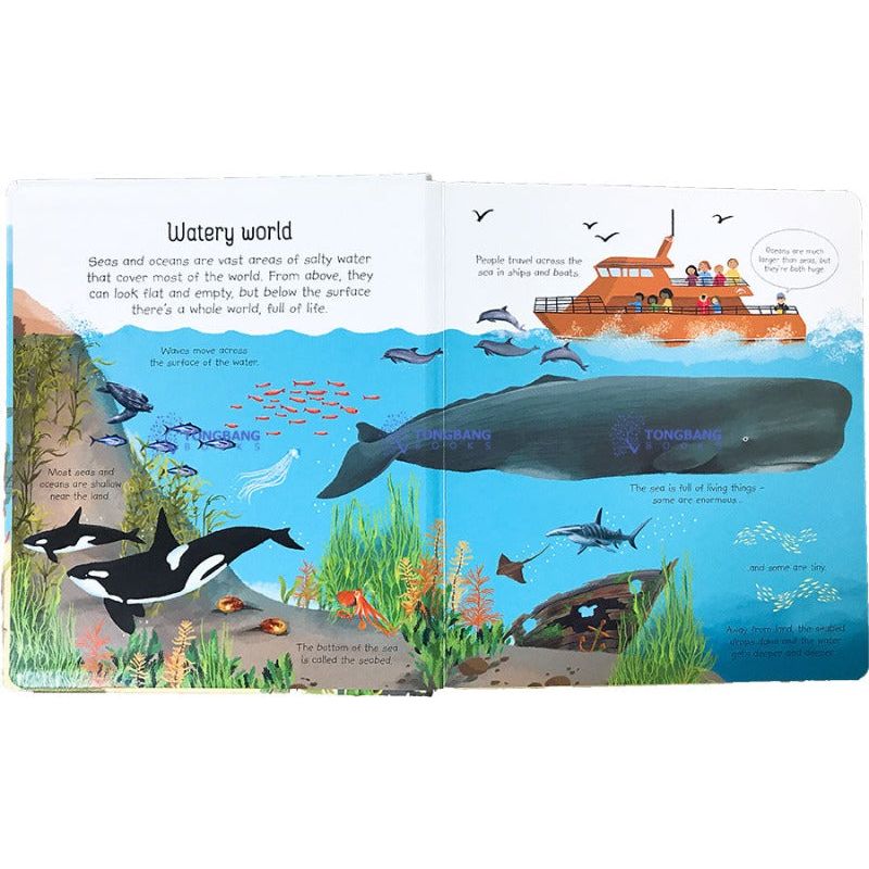 My First Seas & Oceans Book - Image 4