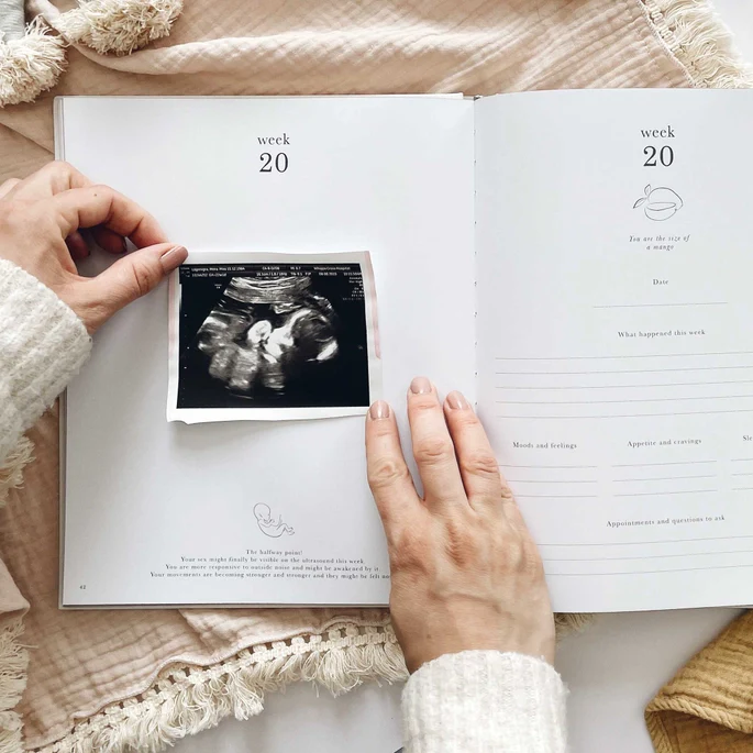 My Pregnancy Journal - With Gilded Edges - Image 5