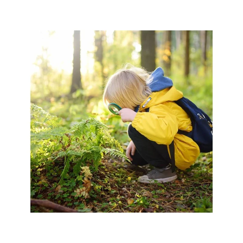 Nature Detective Set - Image 4