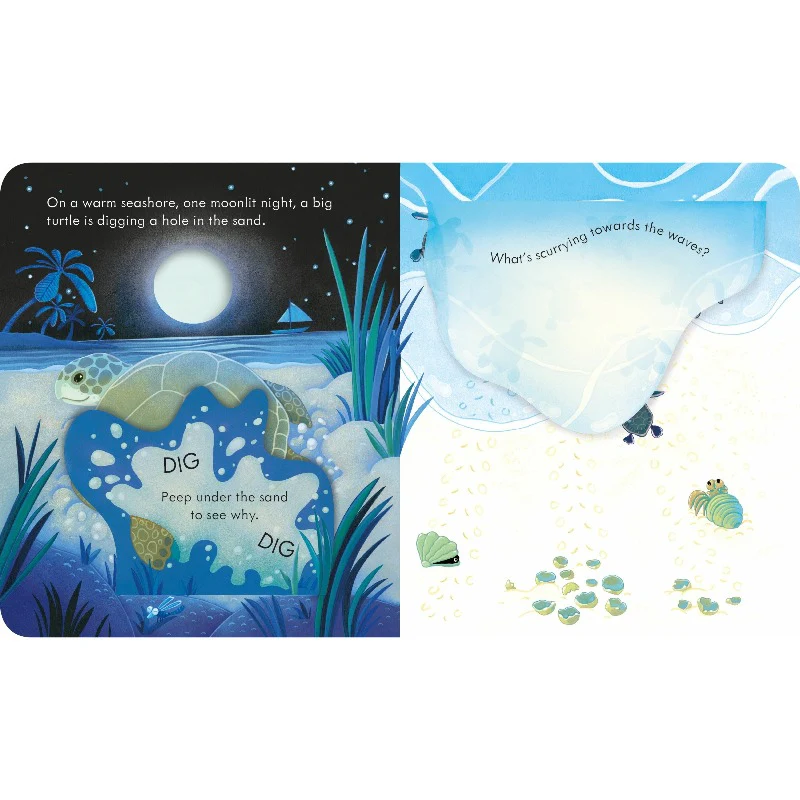 Peep Inside the Seashore - Image 4