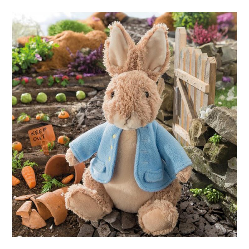 Peter Rabbit Soft Toy - Image 5