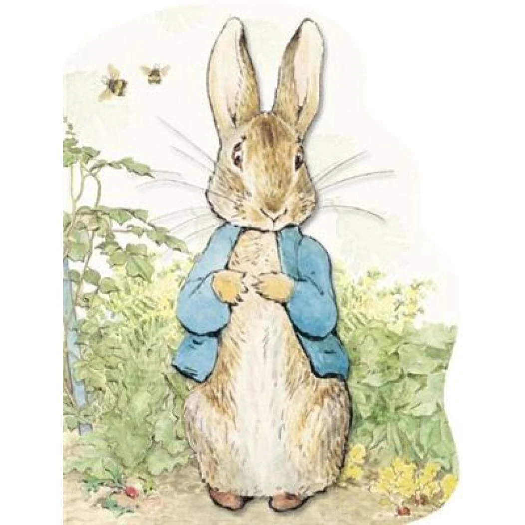 Peter Rabbit Soft Toy - Image 6