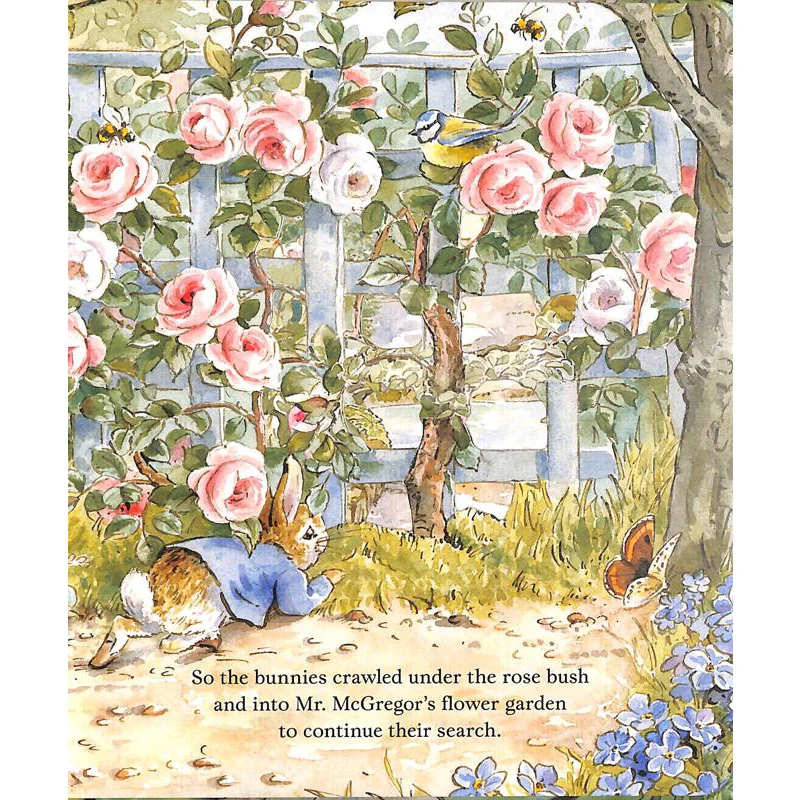 Peter Rabbit - The Lost Hat - Image 3