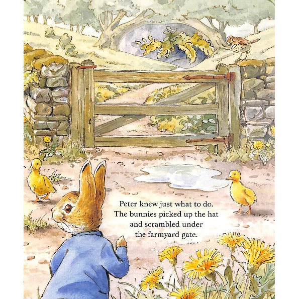 Peter Rabbit - The Lost Hat - Image 4