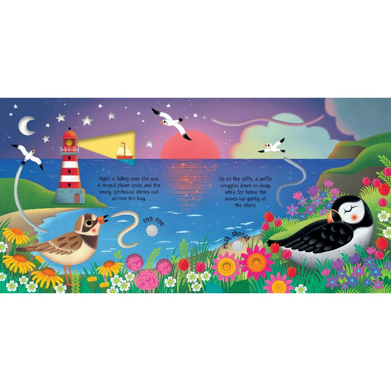 Seashore - Sound Book - Image 3