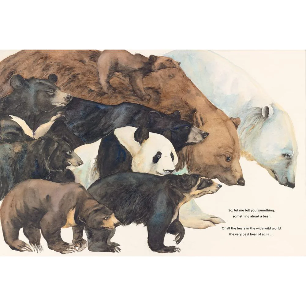 Something About A Bear - Jackie Morris - Signed Copy✨ - Image 3